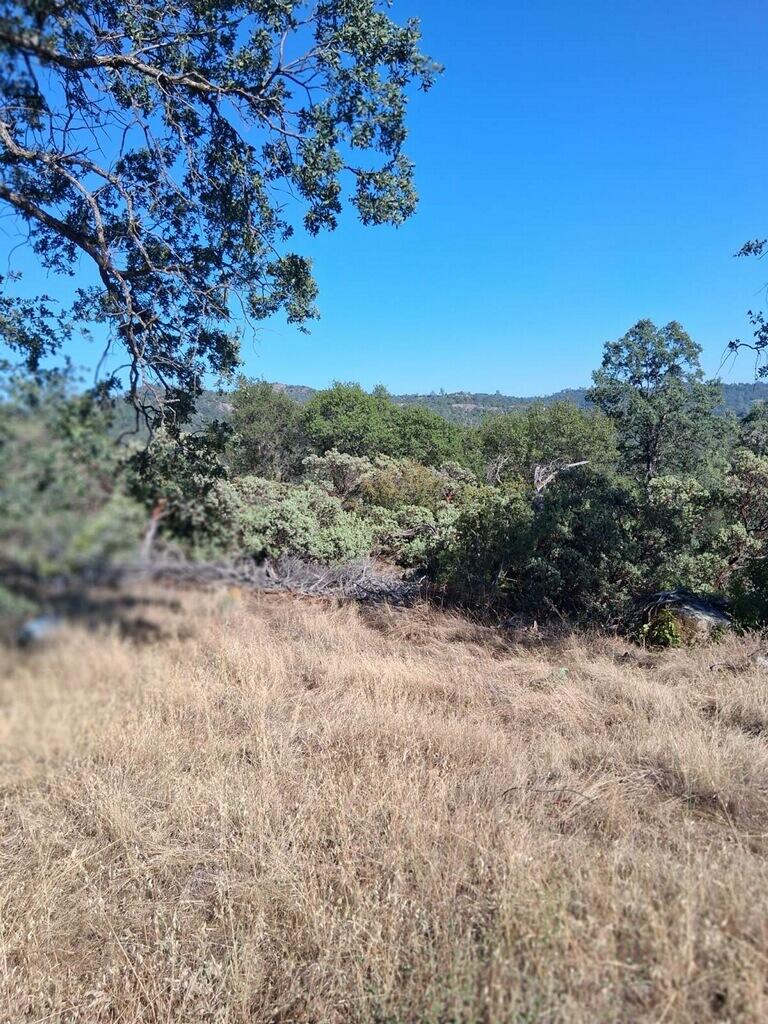 4863 Gavilan Road Mariposa, CA 95338 - Photo 10 of 19