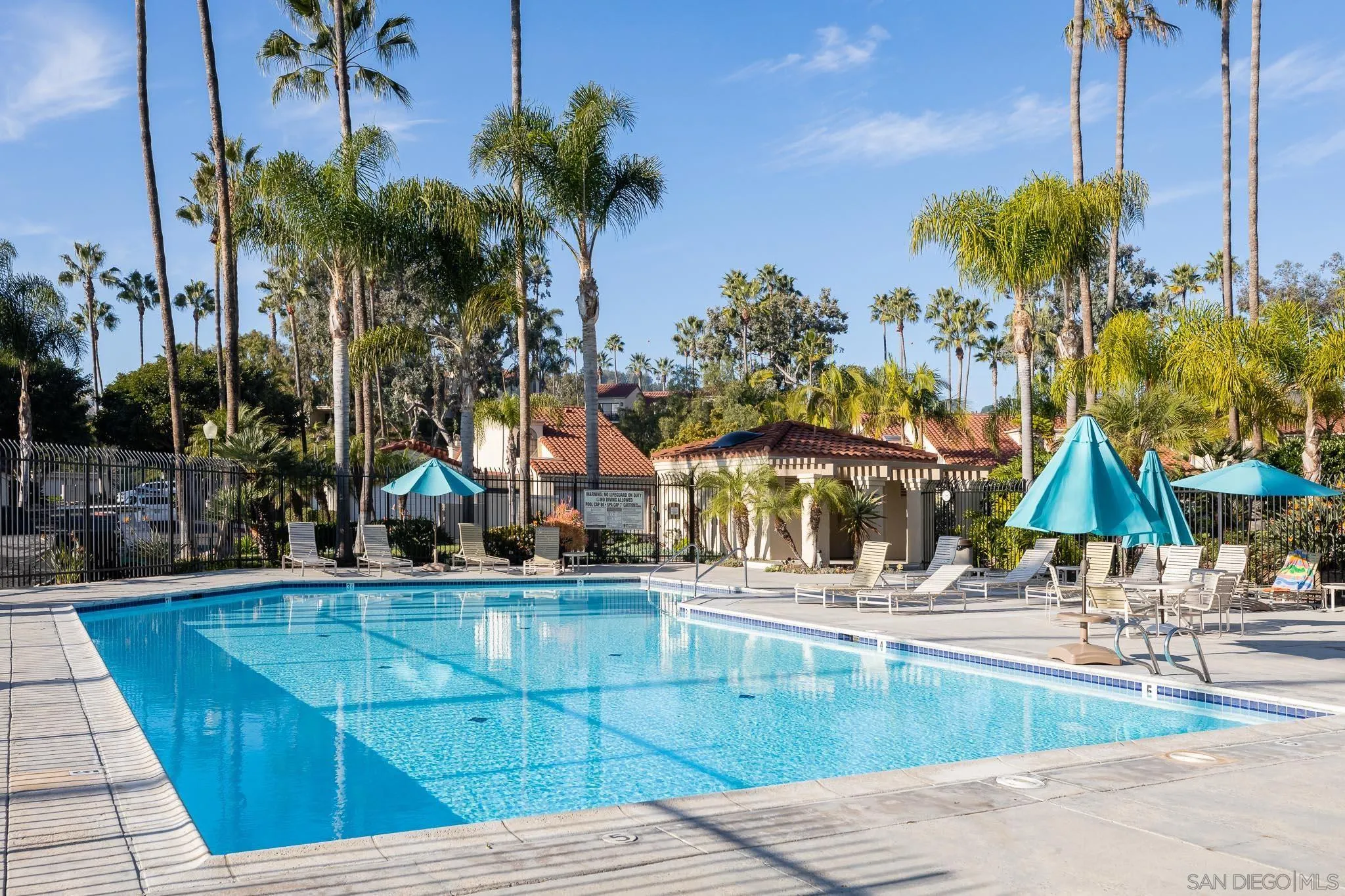 7306 Alta Vista Carlsbad, CA 92009 - Photo 20 of 22 a view of a swimming pool with a lawn chairs under palm trees