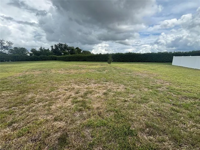 a view of yard with swimming pool and green space