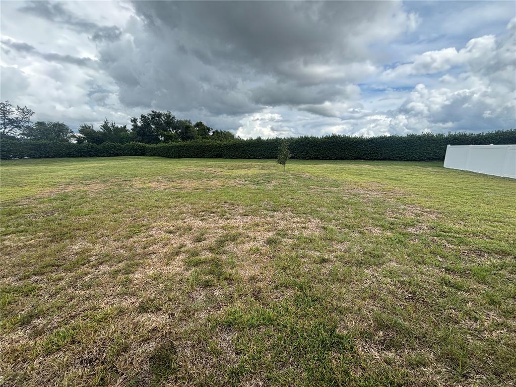 9145 Southwest 58th Circle Ocala, FL 34476 - Photo 36 of 37 a view of yard with swimming pool and green space