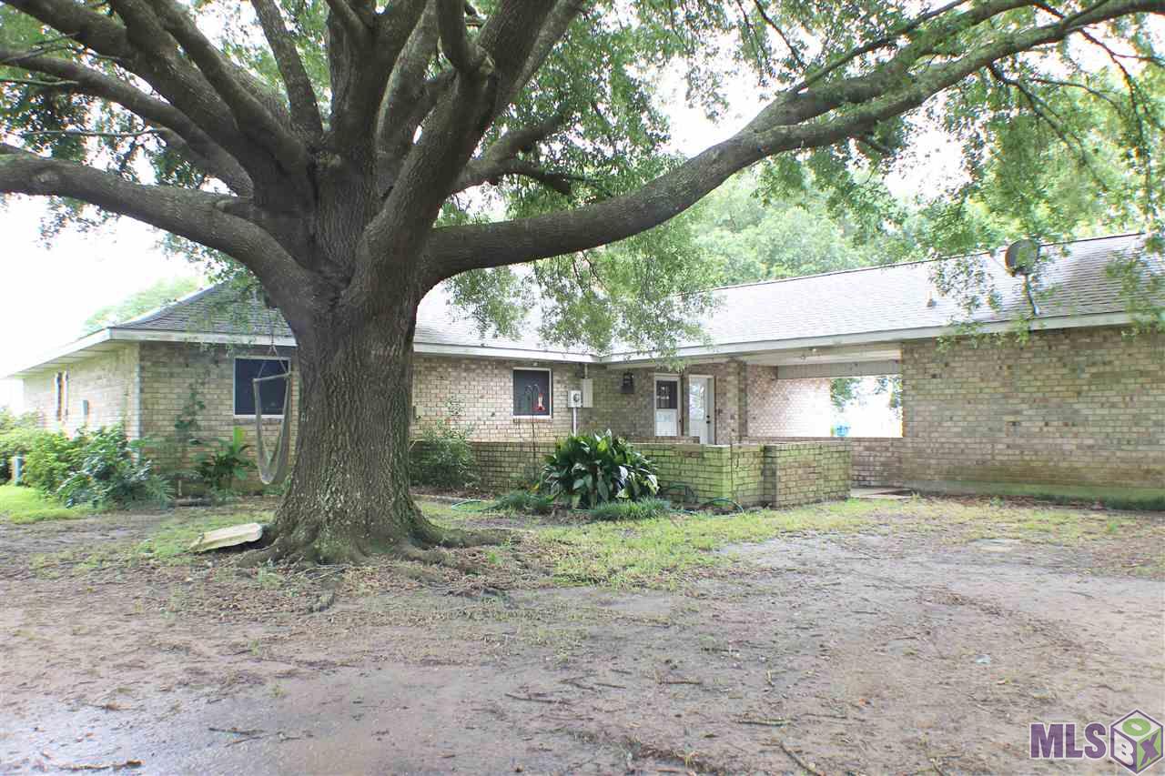 Back Yard & Court Yard