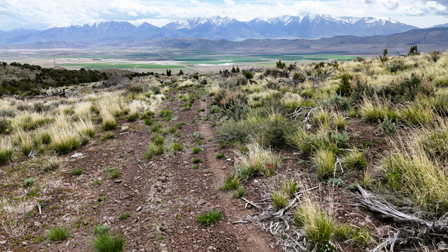 123 West Tbd Willow Spring Road Eureka, UT 84628 - Photo 42 of 60 Expansive natural landscape with a dirt path