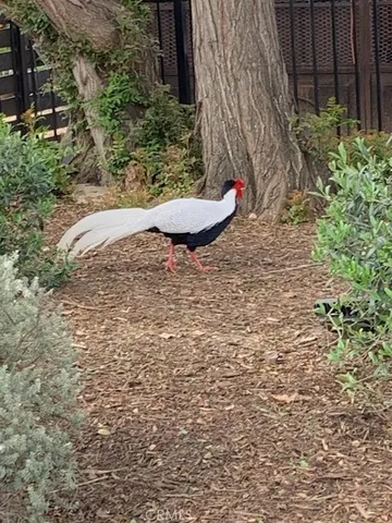 $8,995,000 | 2173 Orchard Drive, Newport Beach, CA 92660