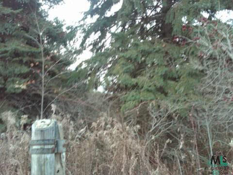 0 Imlay City Road Avoca, MI 48006 - Photo 3 of 4 914436-2.JPG