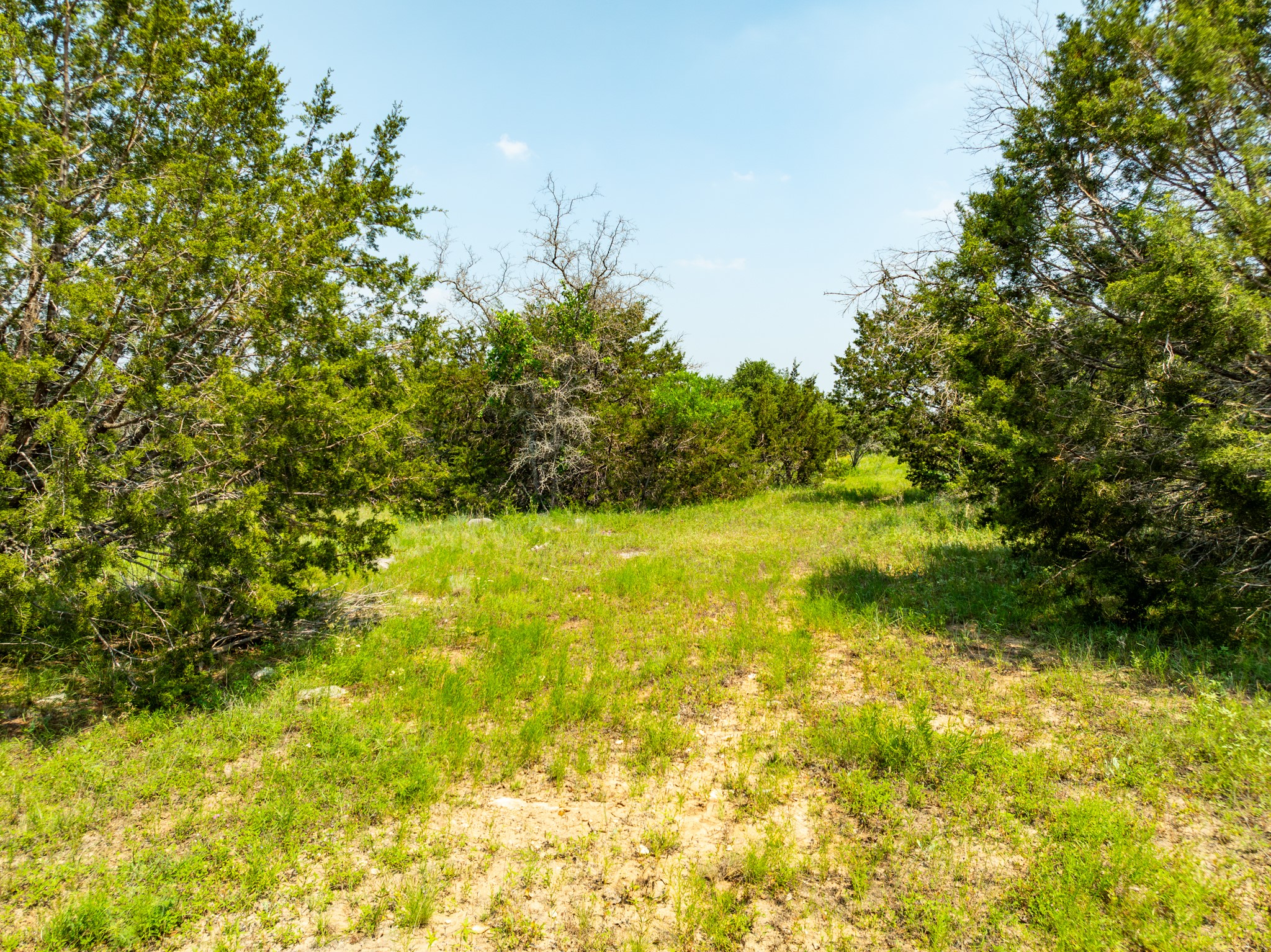 Tbd Tbd Pitchfork Ranch Road Copperas Cove, TX 76522 - Photo 4 of 35 a view of yard with swimming pool and green space