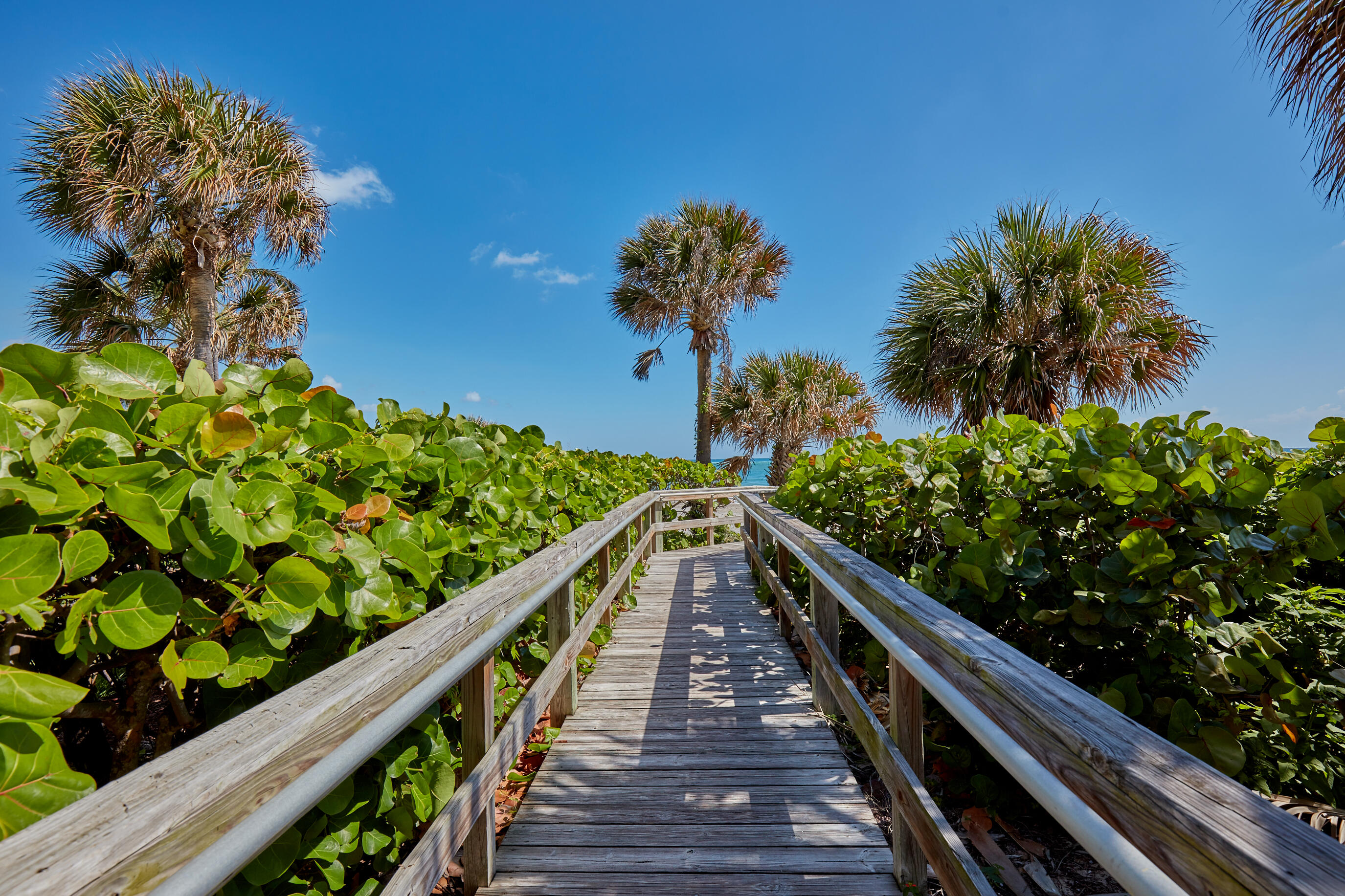 300 Ocean Trail Way, Unit 706 Jupiter, FL 33477 - Photo 23 of 30 Ocean Trail Walkway to Beach