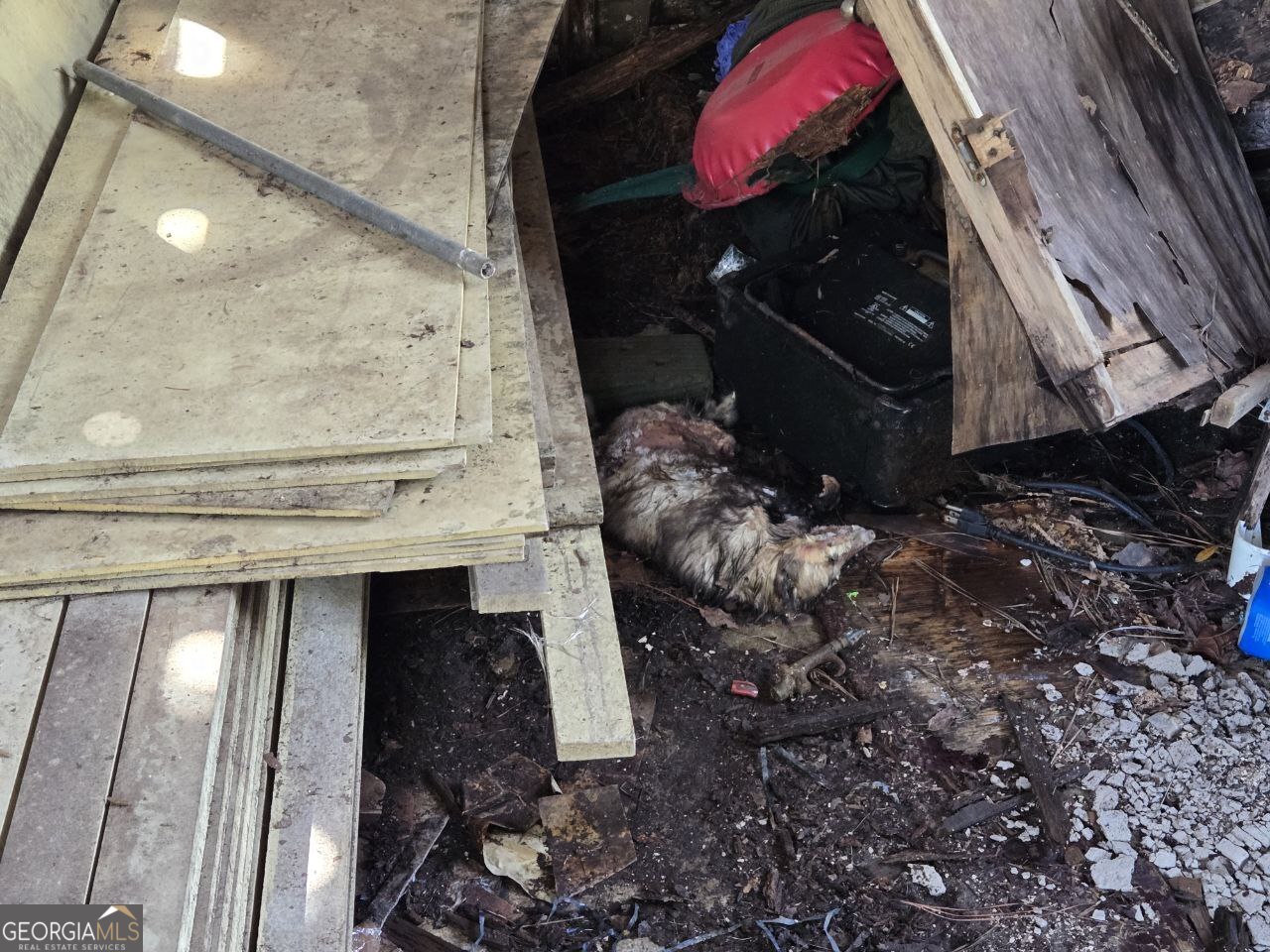 136 Bettie Path Road Beaufort, NC 28516 - Photo 5 of 36