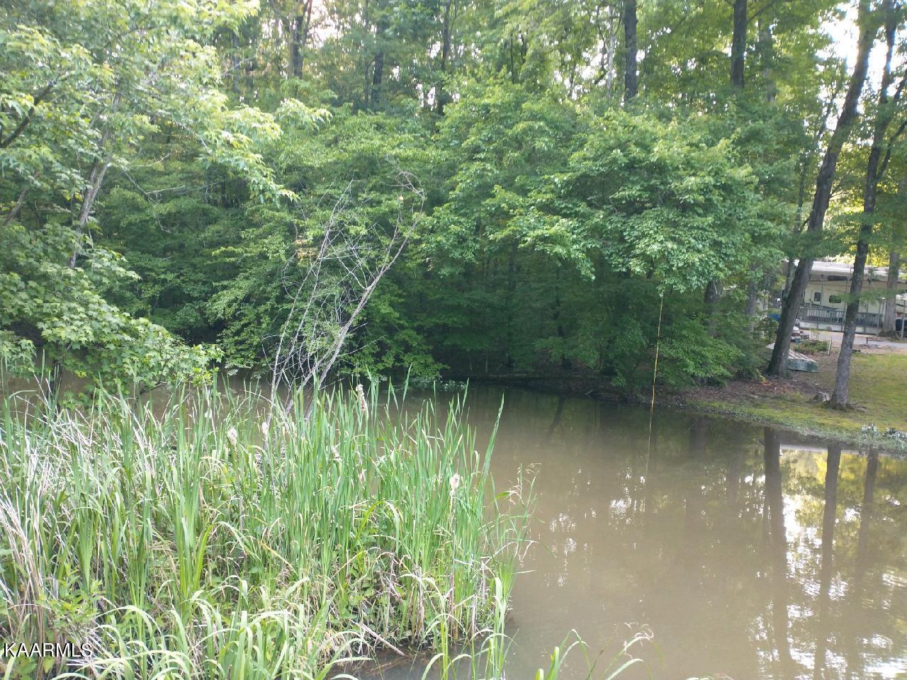 Holly Glen Road Road Decatur, TN 37322 - Photo 3 of 4 61192