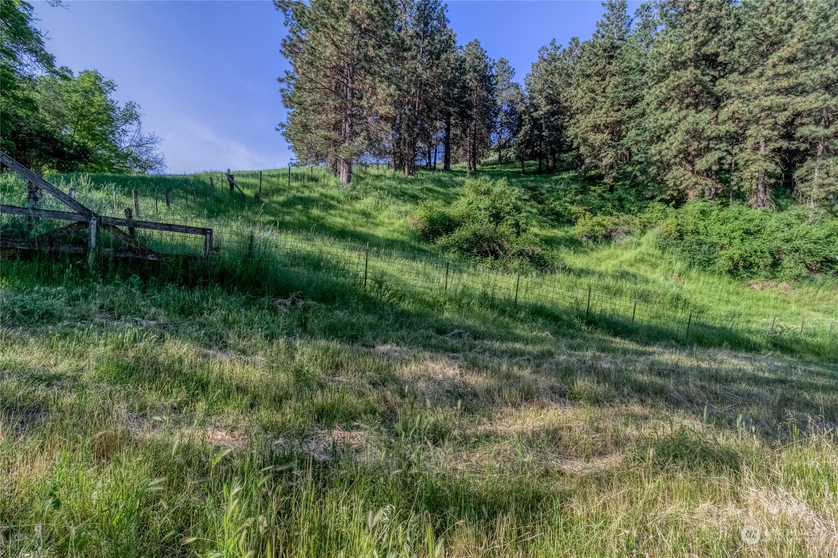 266 Tracy Road Waitsburg, WA 99361 - Photo 2 of 27 Gallery Image 2