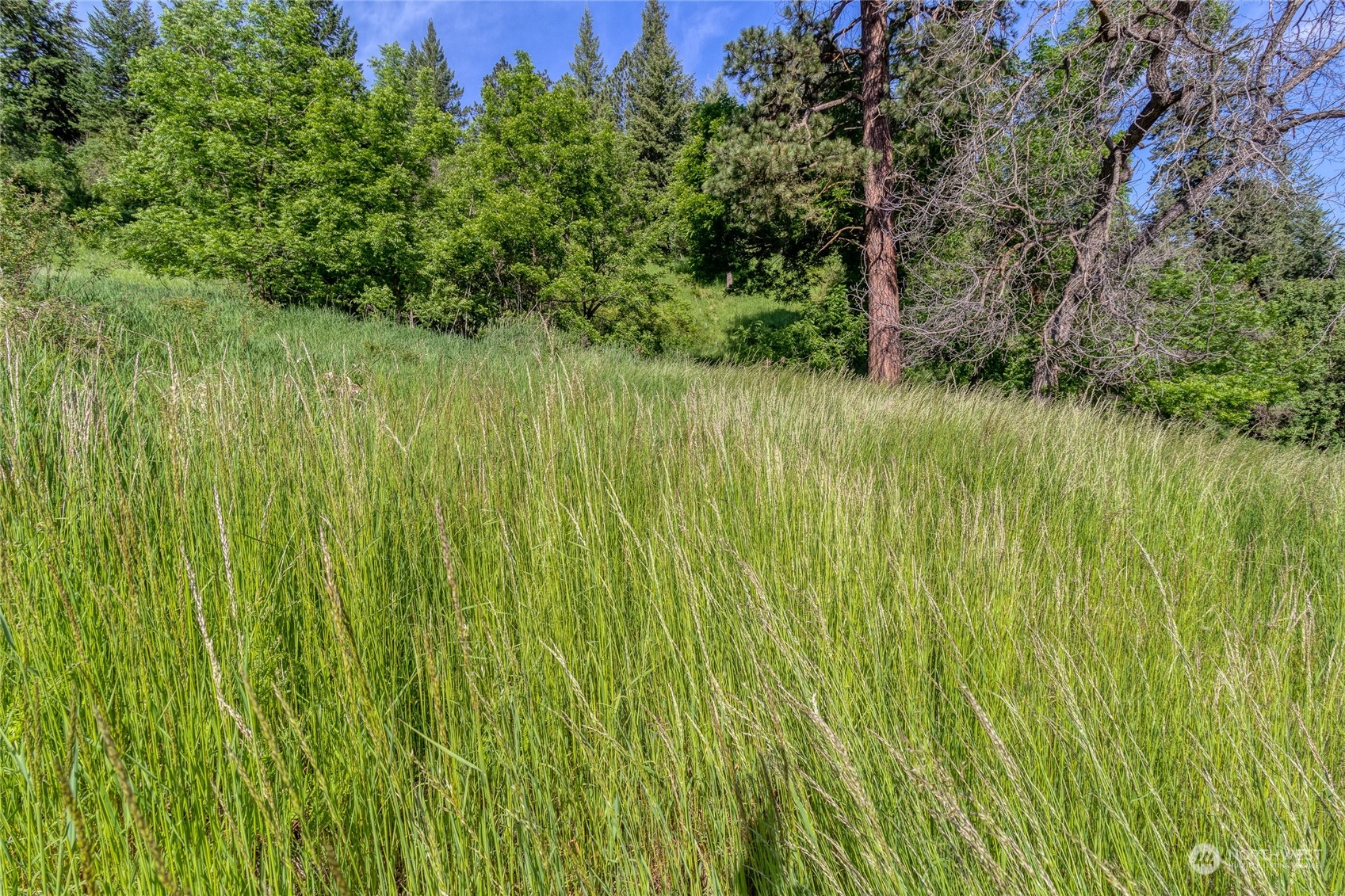 266 Tracy Road Waitsburg, WA 99361 - Photo 27 of 27 Gallery Image 27