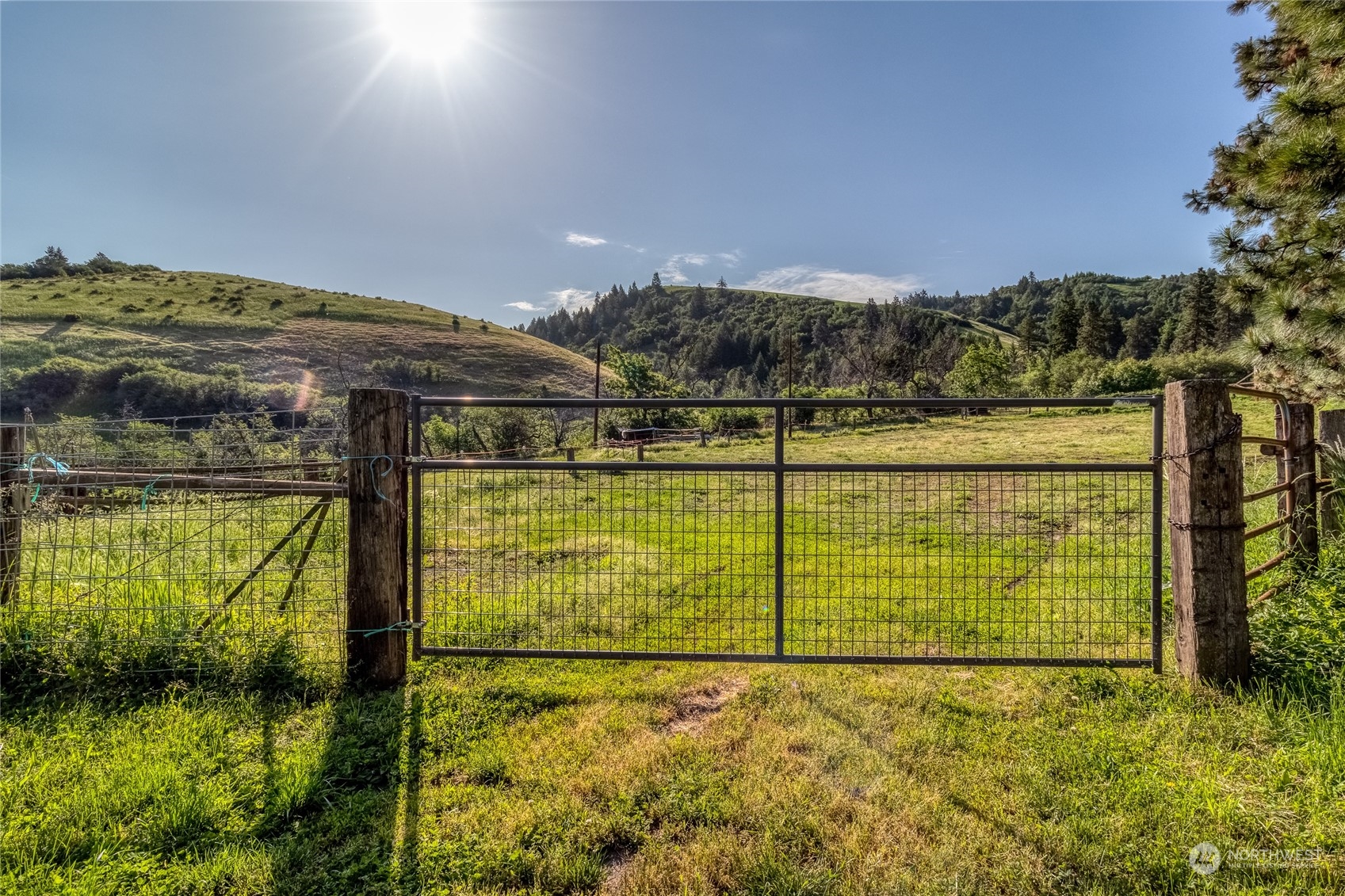 266 Tracy Road Waitsburg, WA 99361 - Photo 5 of 27 Gallery Image 5