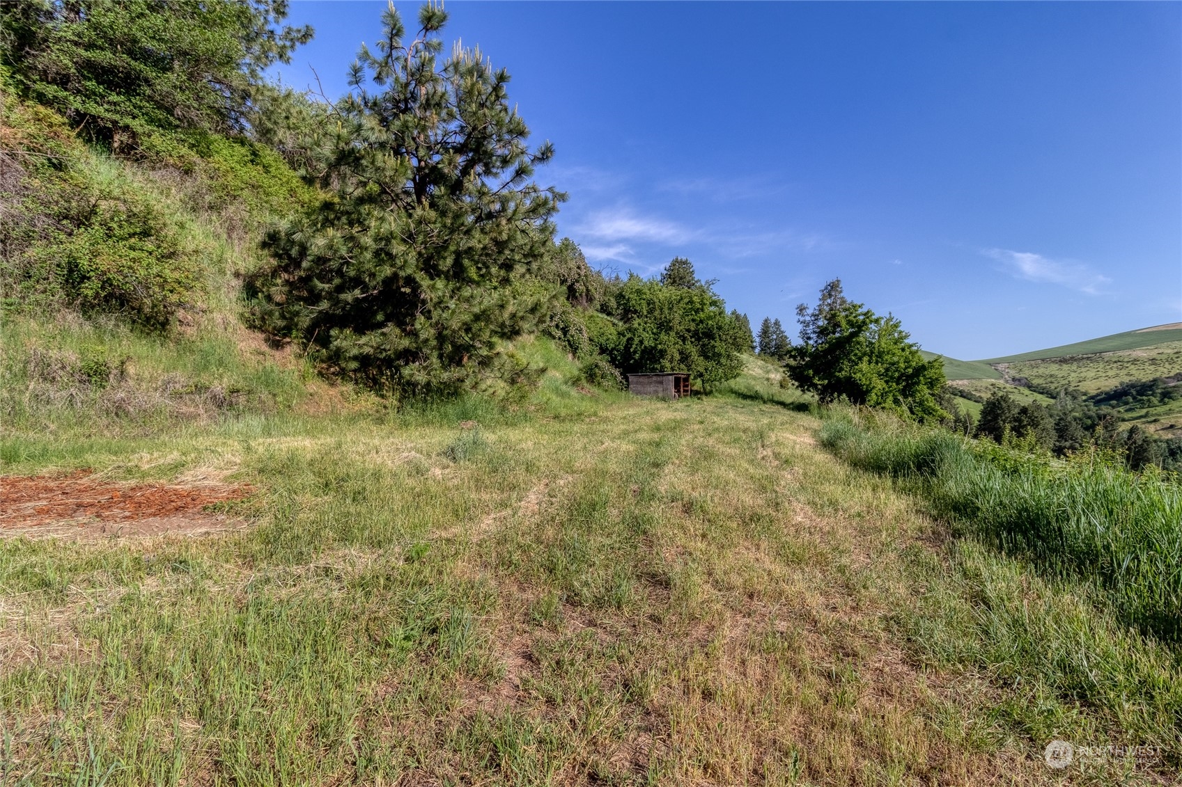 266 Tracy Road Waitsburg, WA 99361 - Photo 7 of 27 Gallery Image 7
