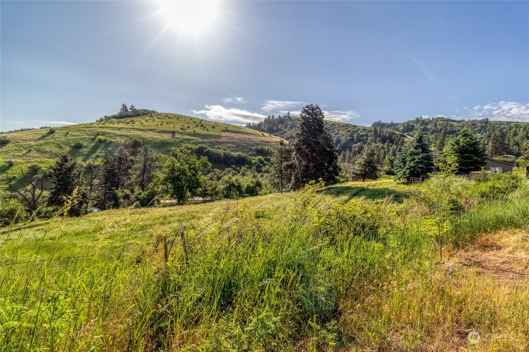 266 Tracy Road Waitsburg, WA 99361 - Photo 9 of 27 Gallery Image 9