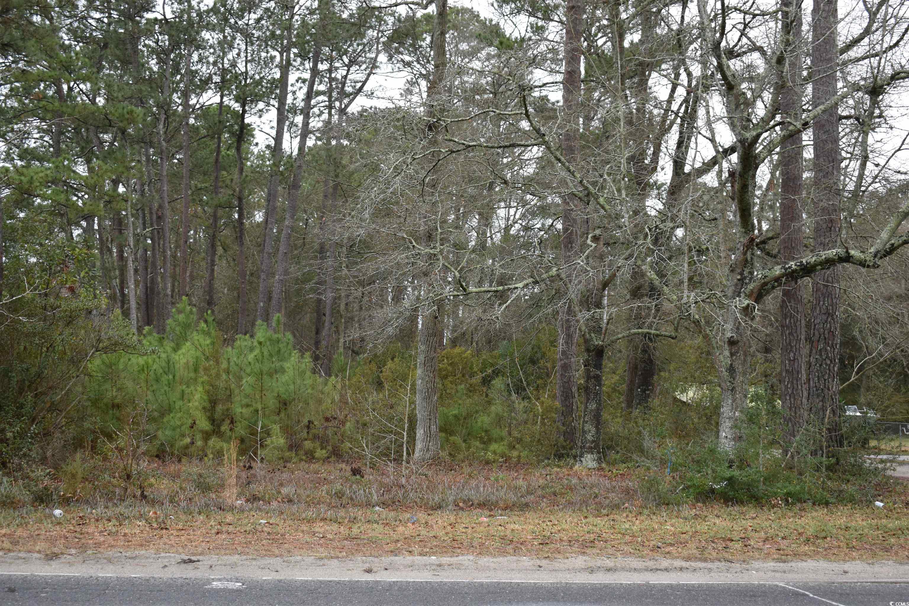 847 Wachesaw Road Murrells Inlet, SC 29576 - Photo 1 of 9 View of landscape