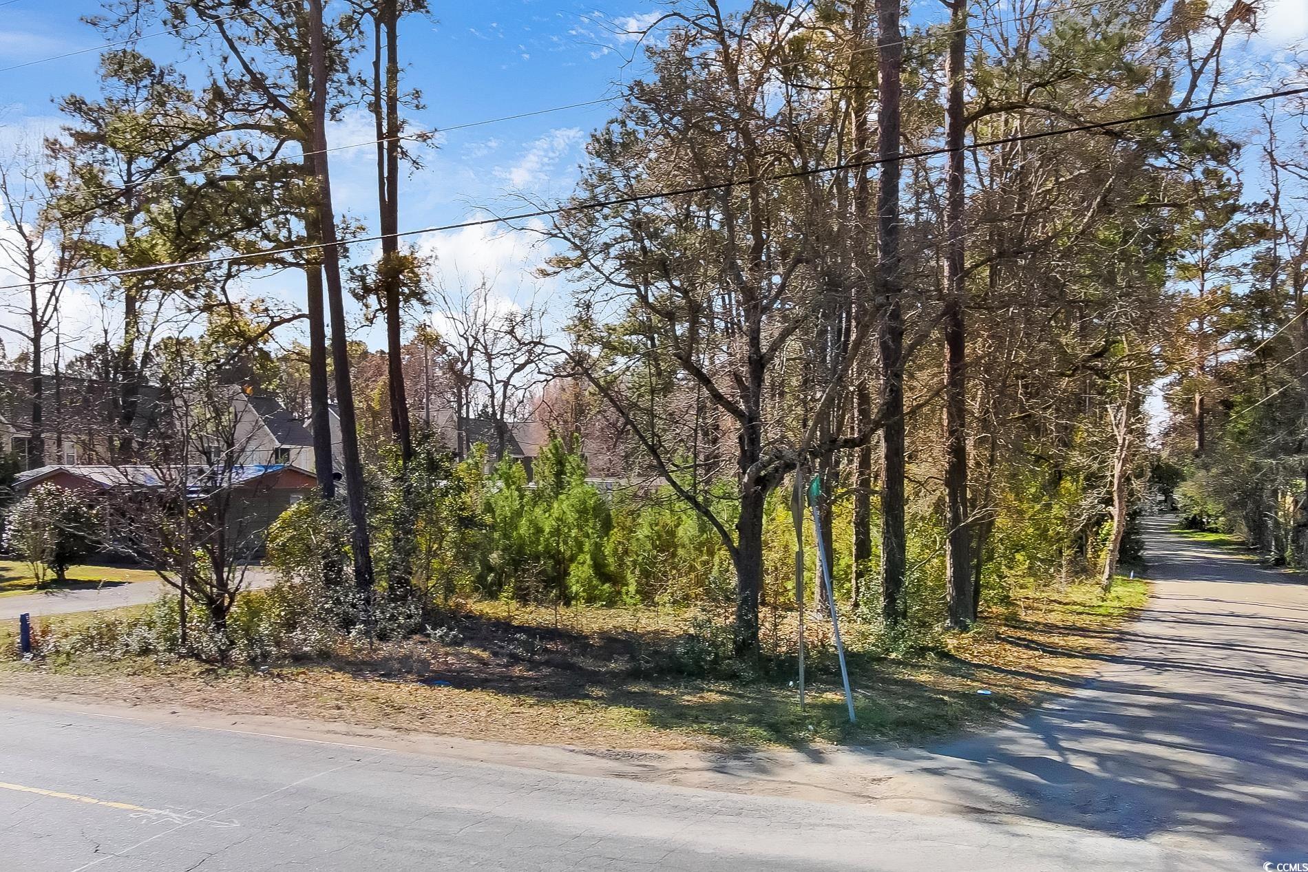 847 Wachesaw Road Murrells Inlet, SC 29576 - Photo 4 of 9 View of street