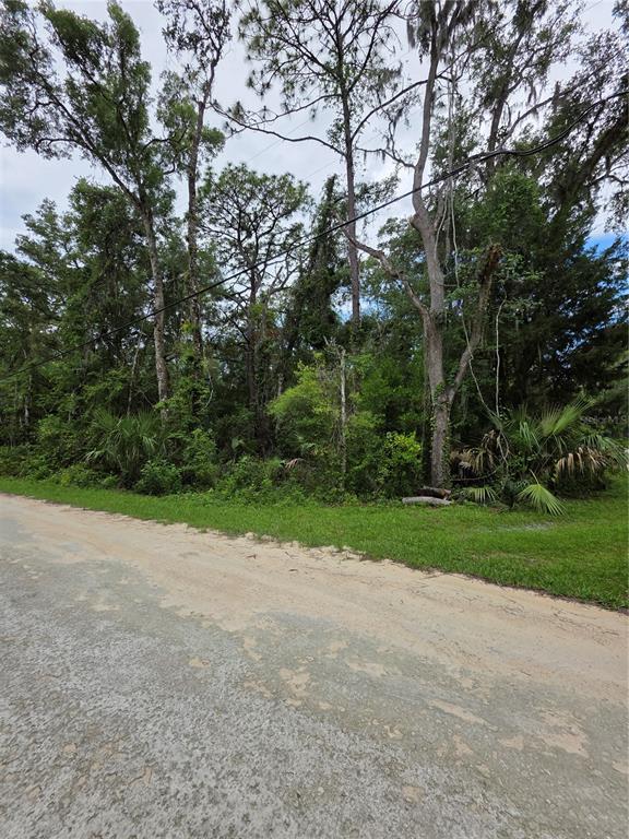 0 Pointview Road Brooksville, FL 34601 - Photo 3 of 6 a view of a yard with large trees