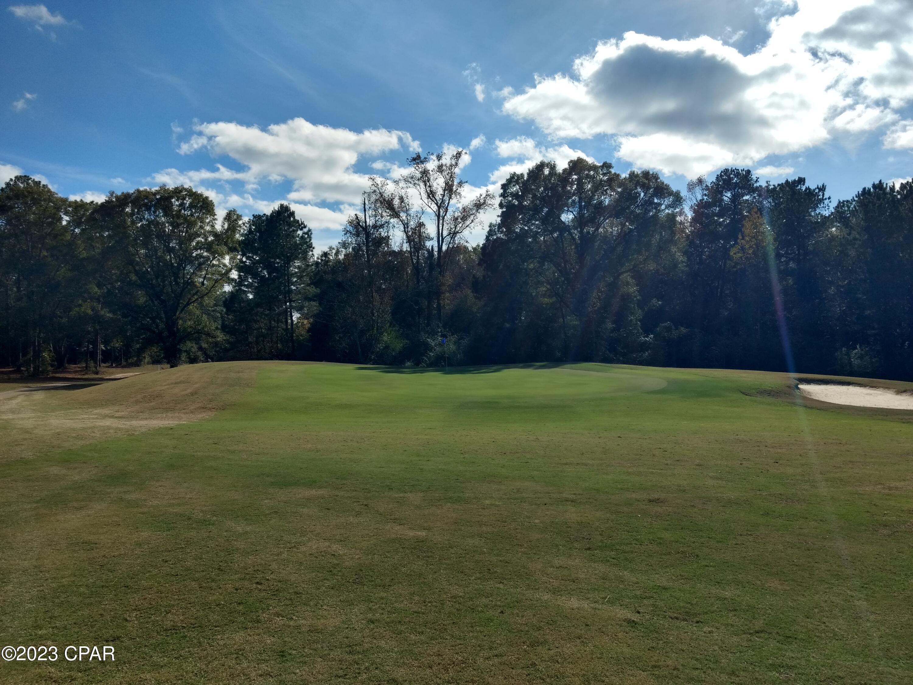 0 Little John Road Bonifay, FL 32425 - Photo 5 of 5
