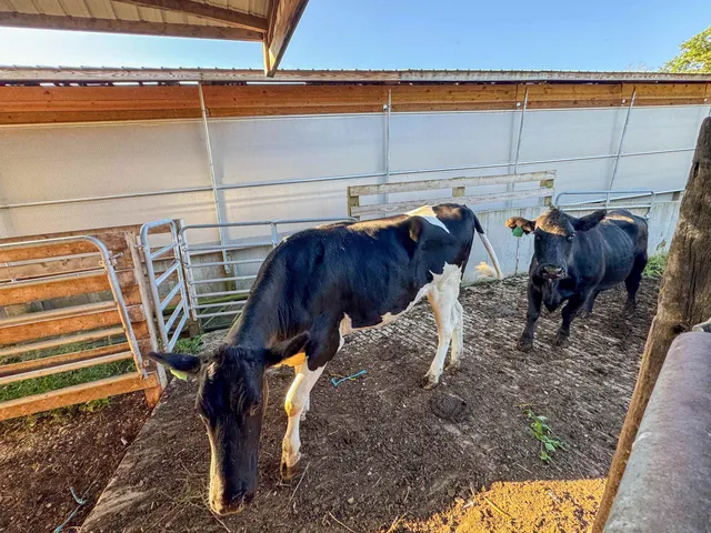 $1,400,000 | 29000 Monarch Avenue, Kendall, WI 54638