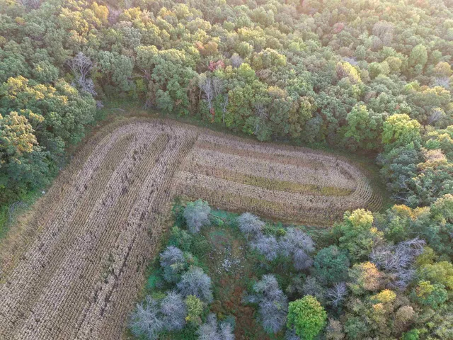 $1,400,000 | 29000 Monarch Avenue, Kendall, WI 54638