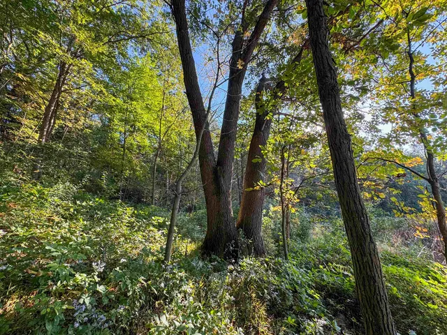 $1,400,000 | 29000 Monarch Avenue, Kendall, WI 54638