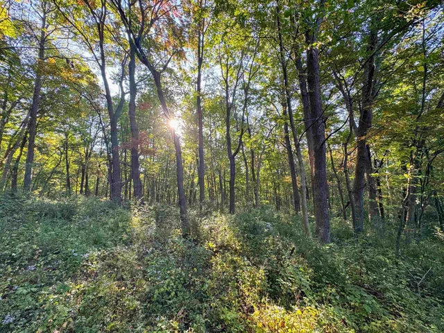 $1,400,000 | 29000 Monarch Avenue, Kendall, WI 54638