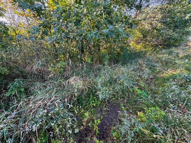 $1,400,000 | 29000 Monarch Avenue, Kendall, WI 54638