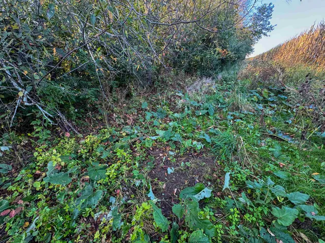 $1,400,000 | 29000 Monarch Avenue, Kendall, WI 54638