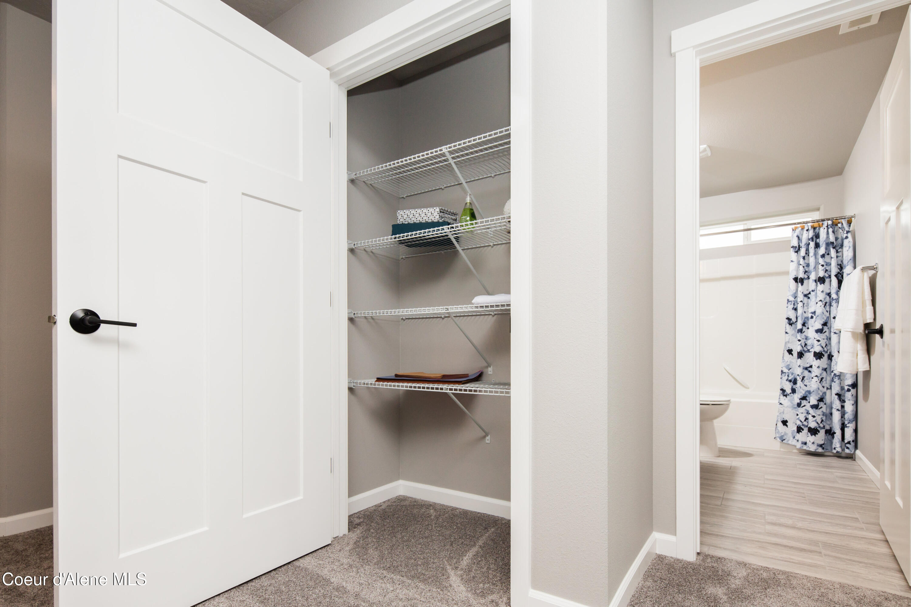 3346 North Segar Loop Post Falls, ID 83854 - Photo 18 of 32 (18) stock hall closet