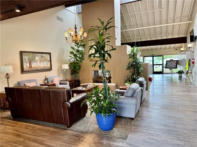 a living room with furniture potted plant and a window