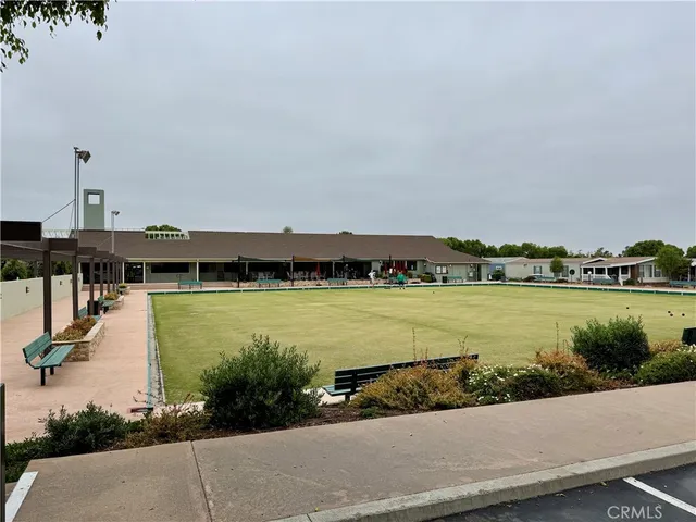 a view of a tree in a yard