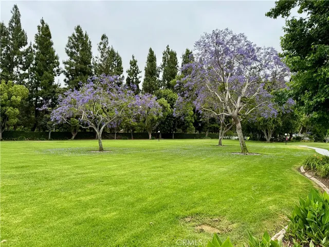 a view of a chairs and table in backyard