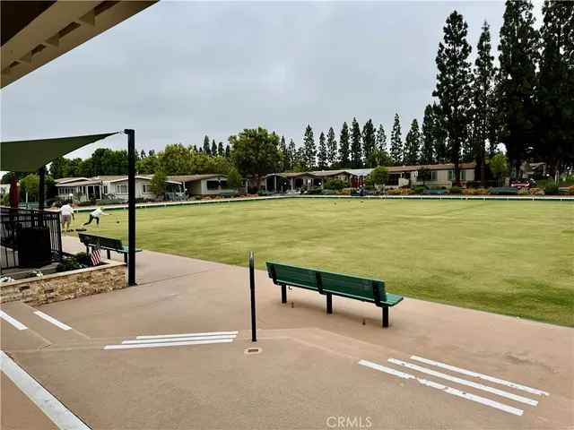 a park view with a bench and trees in the background