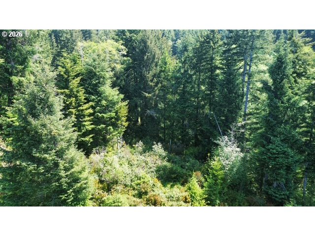 400 Erhart Road Florence, OR 97439 - Photo 11 of 16 a open area with a yard and trees
