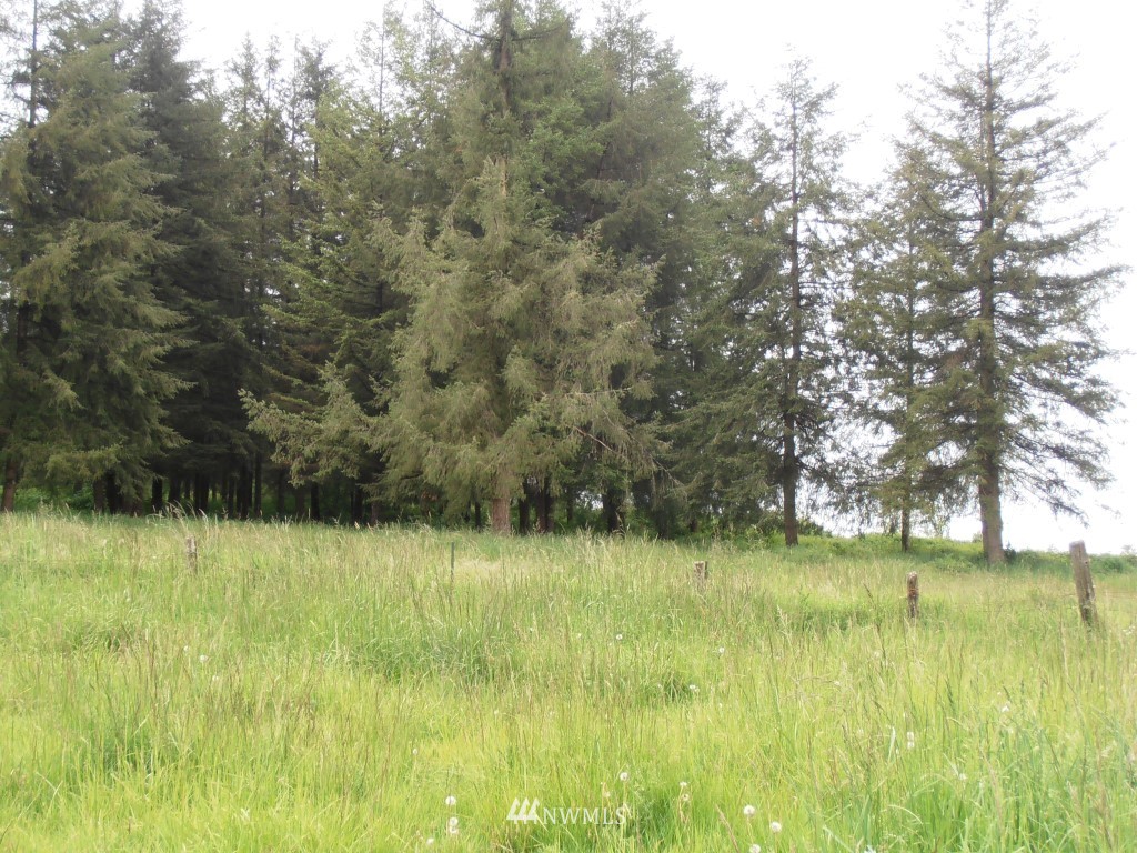 122 Campbell Road Onalaska, WA 98570 - Photo 20 of 24 Gallery Image 20
