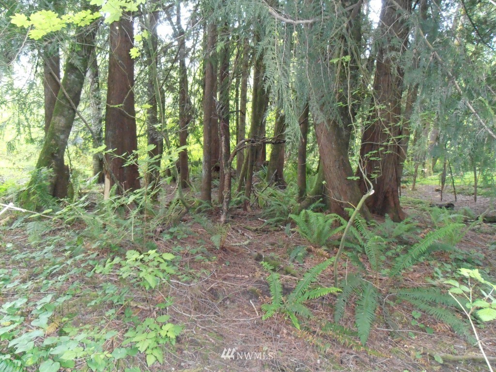 122 Campbell Road Onalaska, WA 98570 - Photo 21 of 24 Gallery Image 21