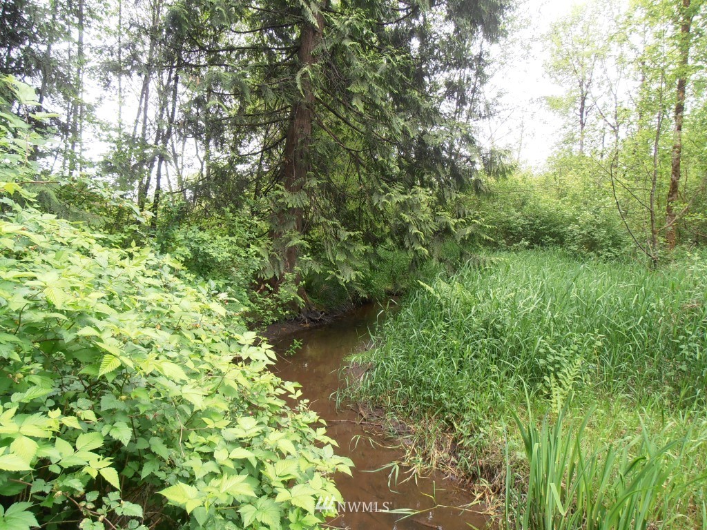 122 Campbell Road Onalaska, WA 98570 - Photo 22 of 24 Gallery Image 22
