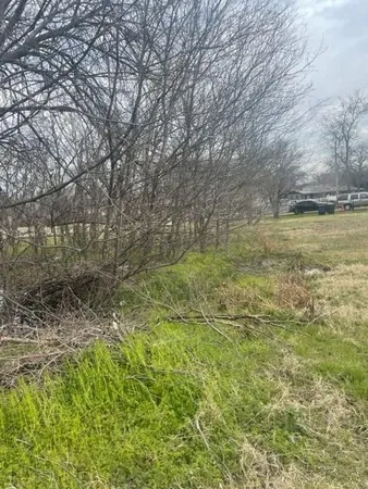a view of a yard with an trees