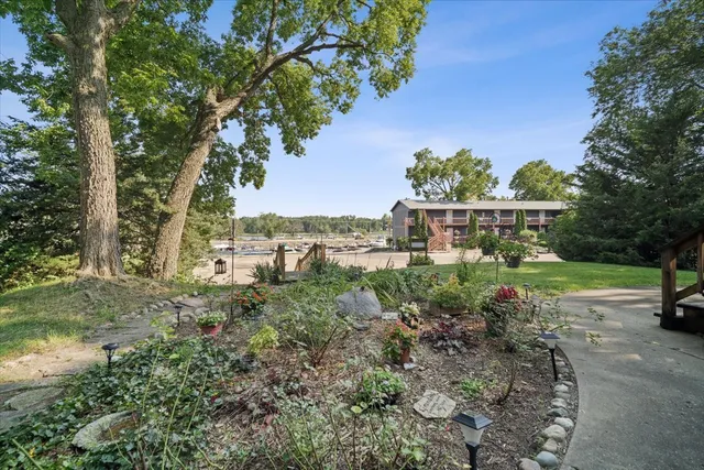 a view of a park with large trees