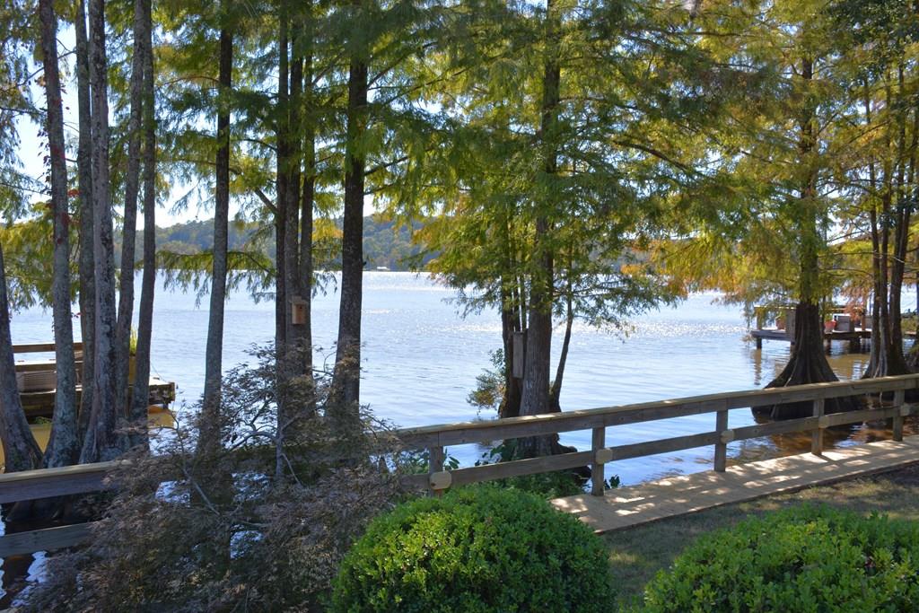 16922 Sims Road Dozier, AL 36028 - Photo 44 of 68
