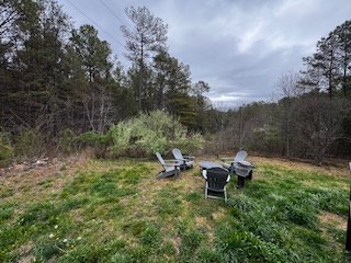 851 Stansbury Mountain Road Copperhill, TN 37317 - Photo 34 of 57
