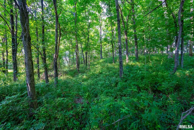 $450,000 | 23490 East Maple Road, Bluford, IL 62814