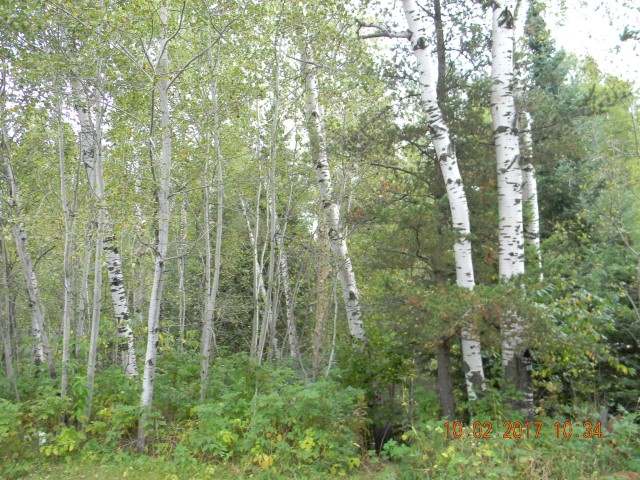 6164 Hat Rapids Road Rhinelander, WI 54501 - Photo 20 of 20 Gallery Image 20