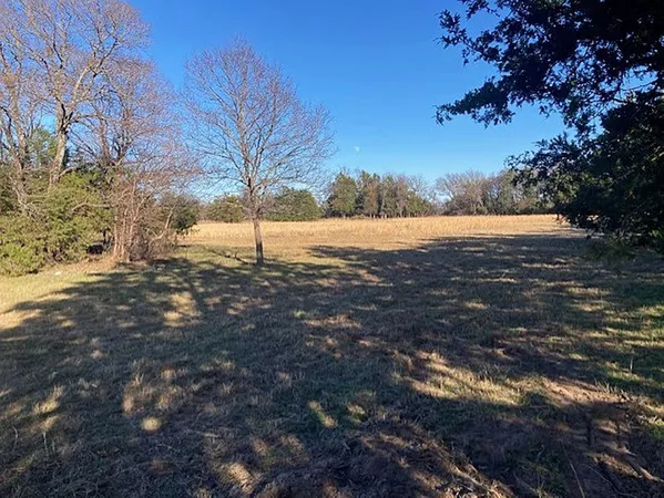 a view of dirt yard with a large tree