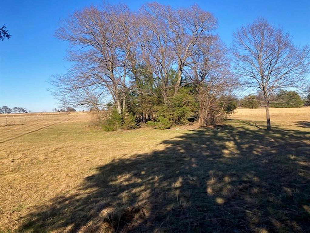 Tbdt Dugan Chapel Road Denison, TX 75021 - Photo 18 of 37 a view of yard with large trees