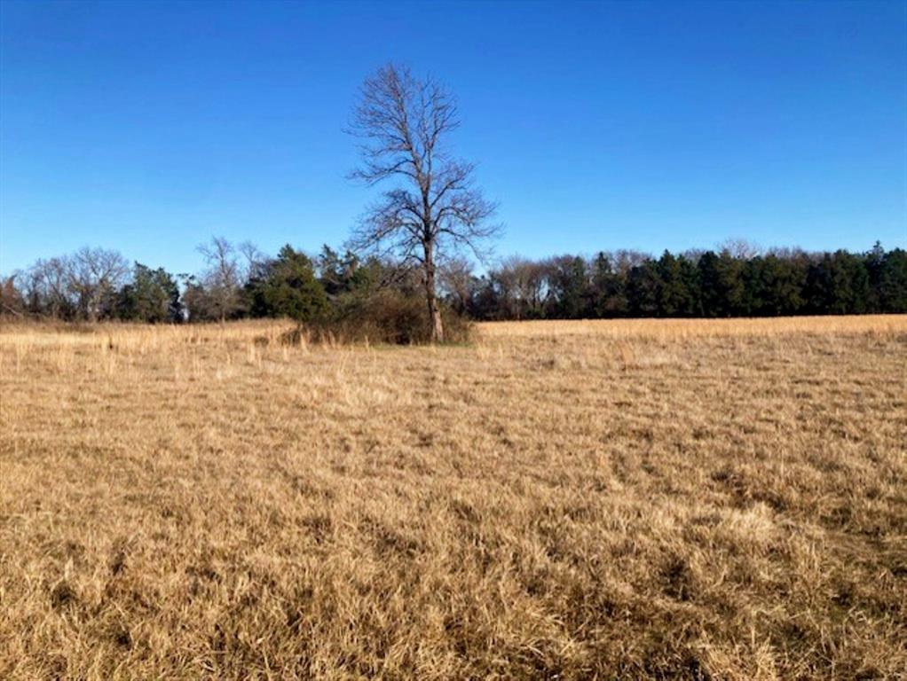 Tbdt Dugan Chapel Road Denison, TX 75021 - Photo 20 of 37 a view of lake