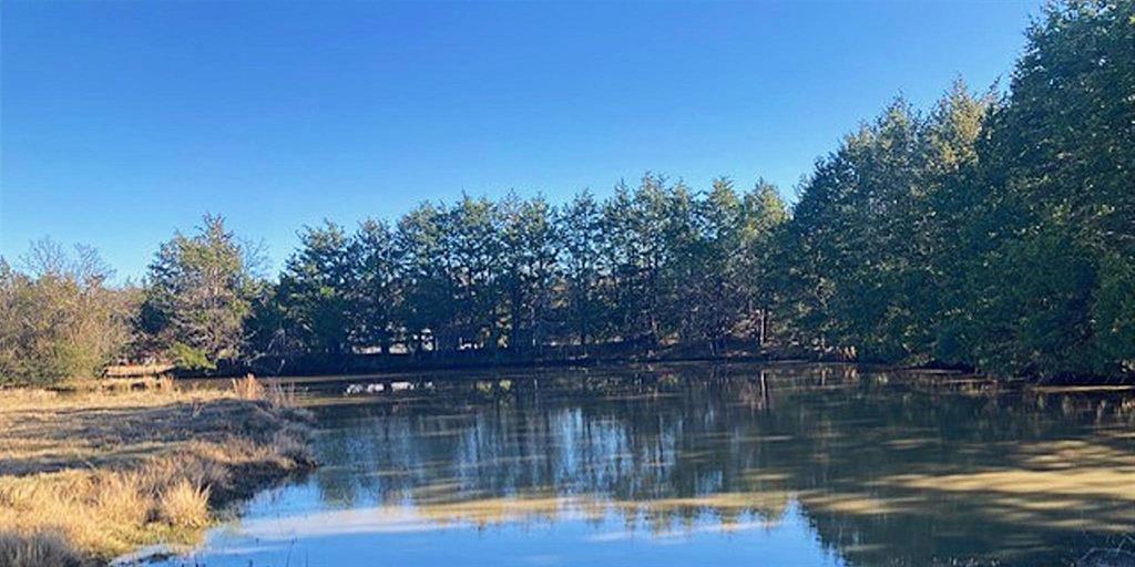 Tbdt Dugan Chapel Road Denison, TX 75021 - Photo 5 of 37 a view of lake