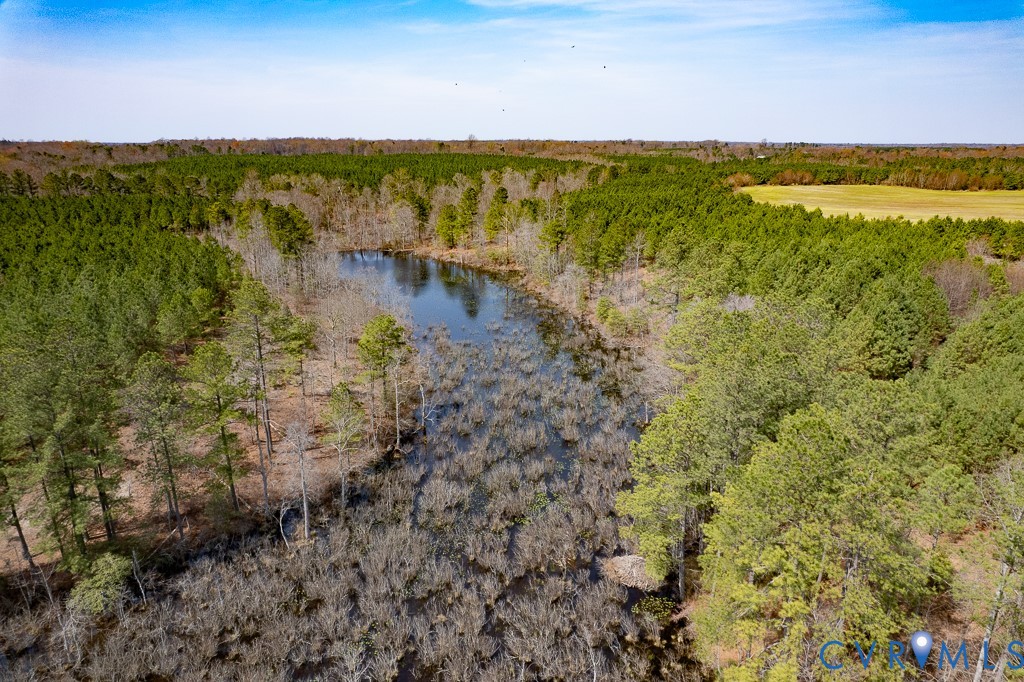 32082 Sparta Road Milford, VA 22514 - Photo 24 of 39 a view of an ocean and a mountain