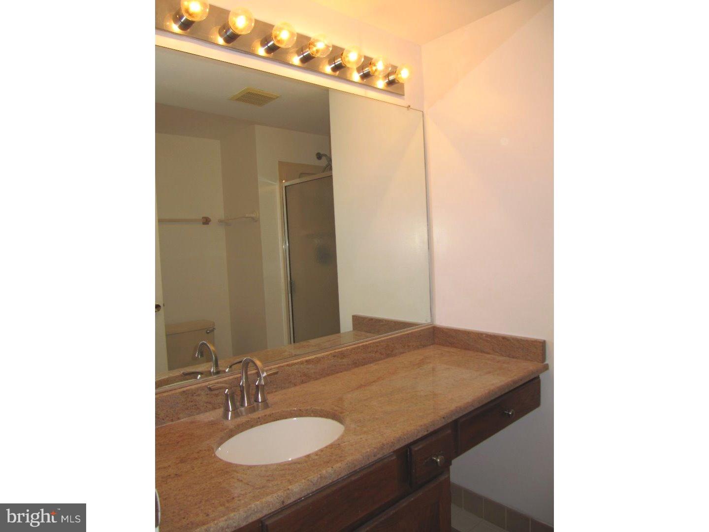 213 Valley Stream Lane Chesterbrook, PA 19087 - Photo 14 of 20 Master Bathroom