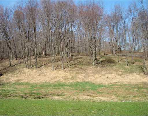 992 Watt Road Apollo, PA 15613 - Photo 8 of 18 Land/Lot.