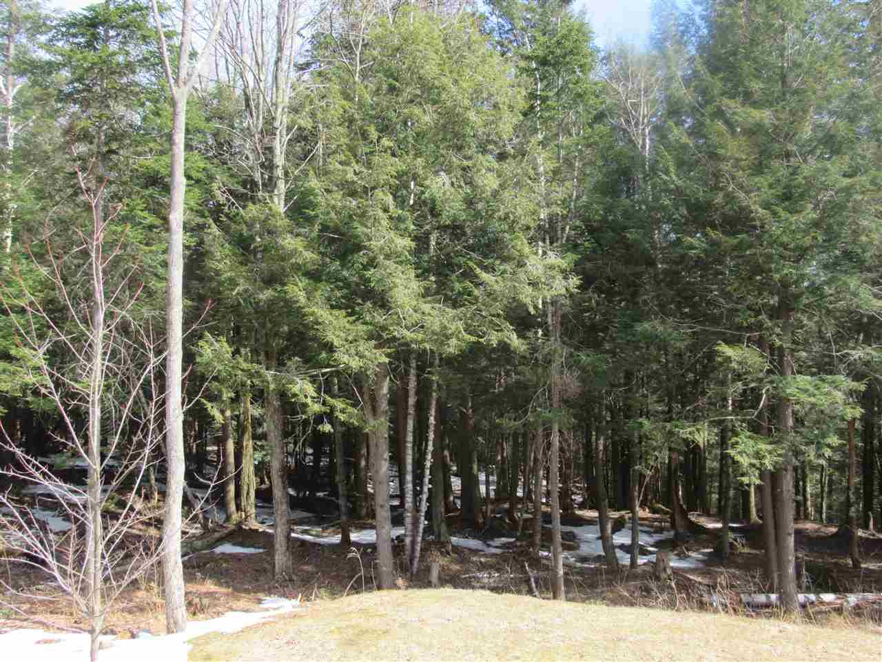 22 Wilderness Road Jay, VT 05859 - Photo 1 of 11 Gallery Image 1
